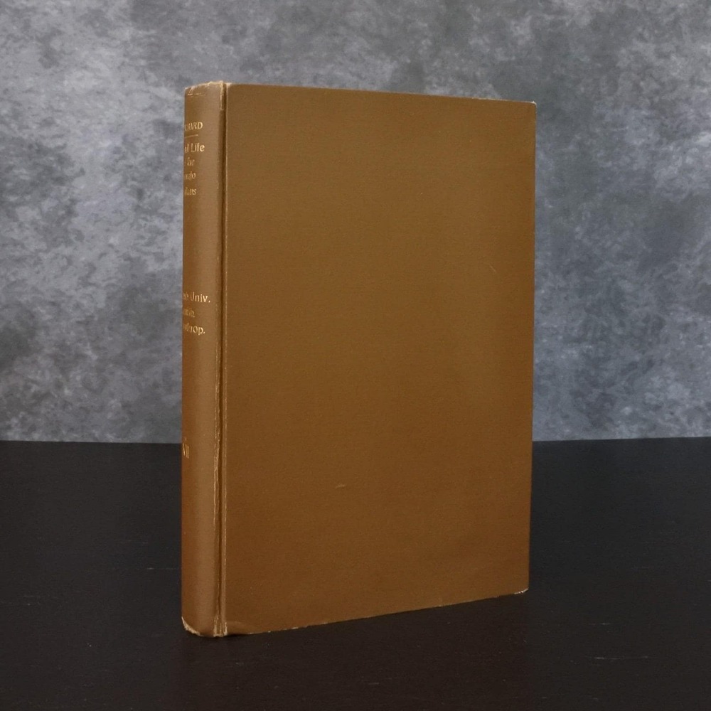 Vintage 1928 Social Life of the Navajo Indians by Gladys A. Reichard